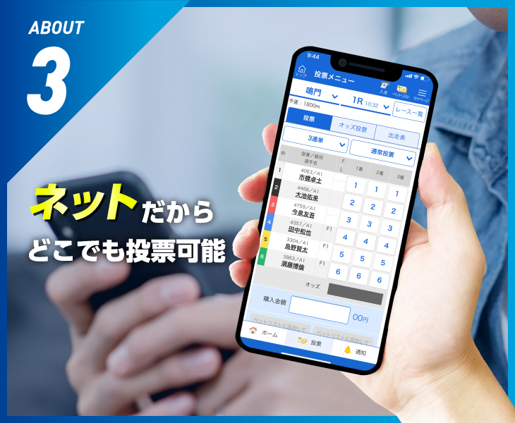 ネットだからどこでも投票可能